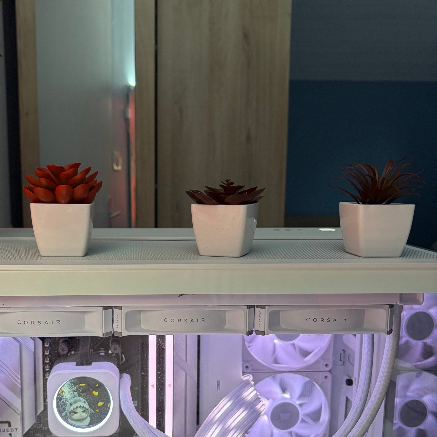 Red mini Plant pots