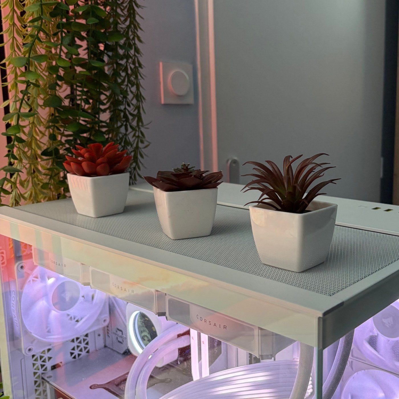 Red mini Plant pots