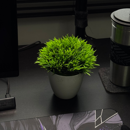 Plant pot