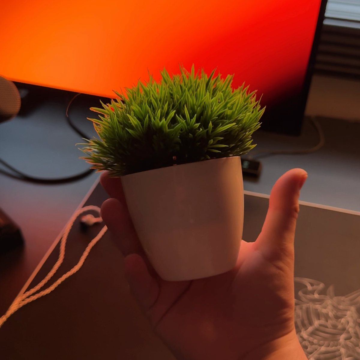 Plant pot