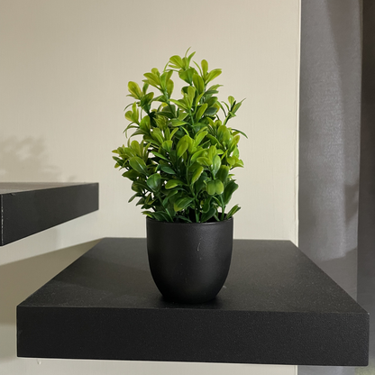 4 Black plant pots