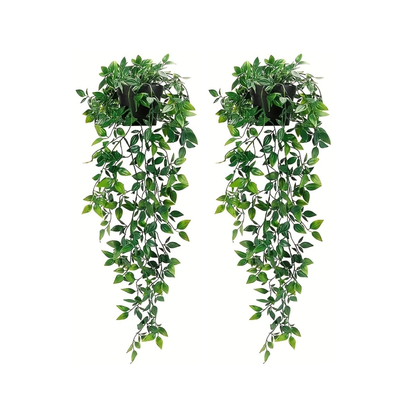 Falling Plant (en lot)