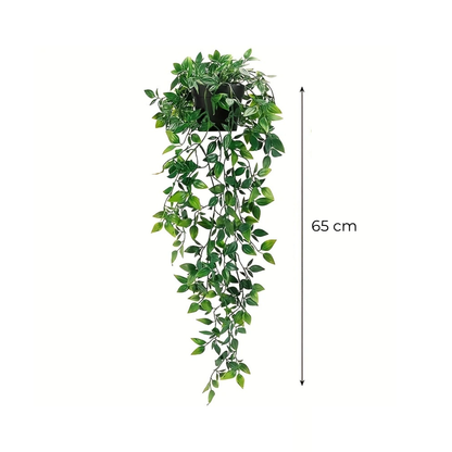 Falling Plant (en lot)