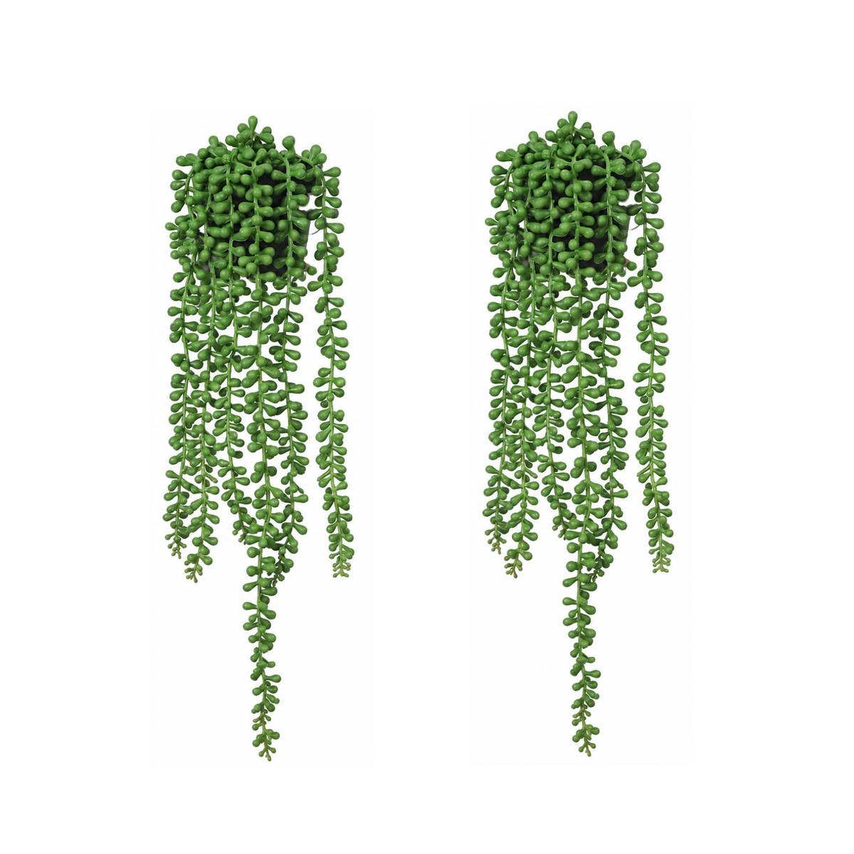 Falling Plant (en lot)