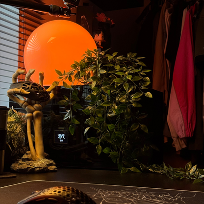 Falling Plant (en lot)