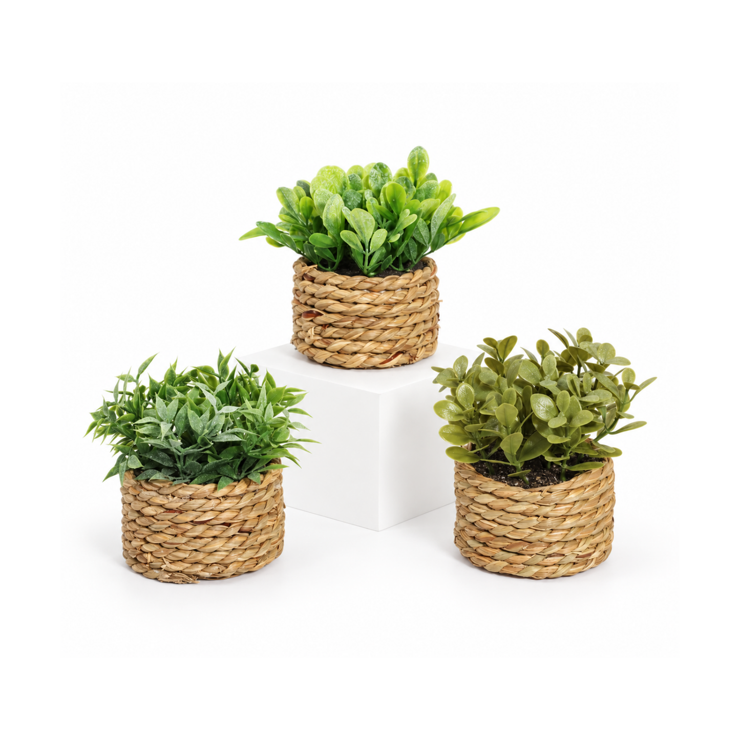 Woven Plant