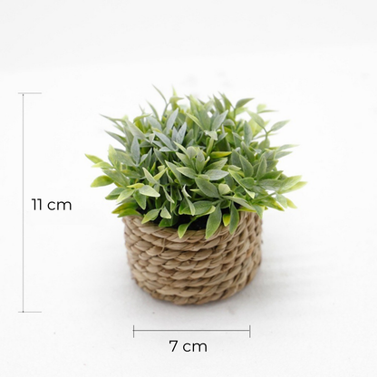 Woven Plant