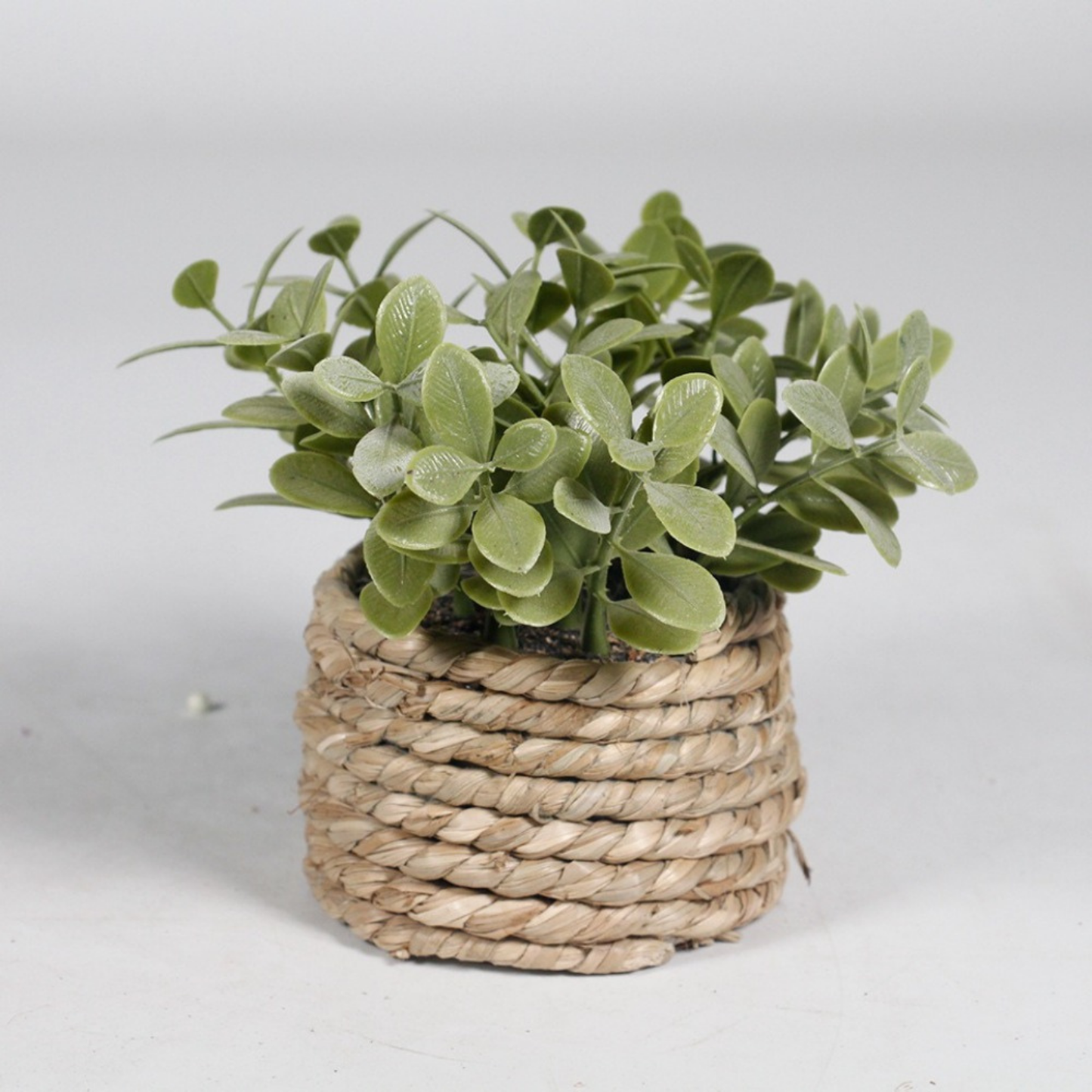 Woven Plant
