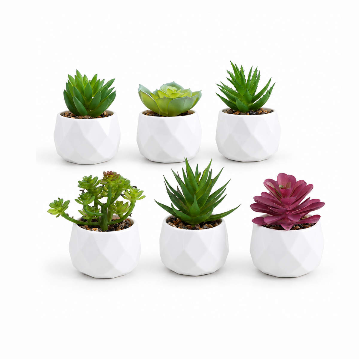 Prism Plant