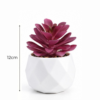 Prism Plant