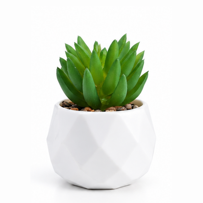 Prism Plant