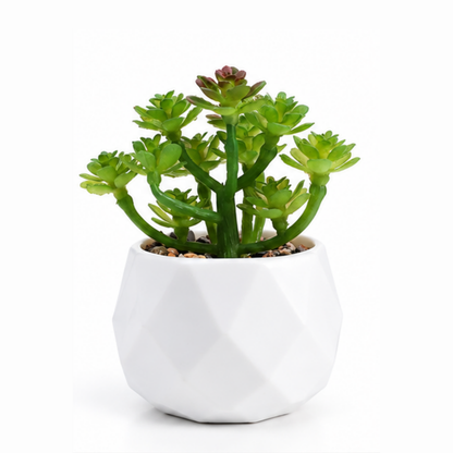 Prism Plant