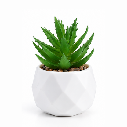 Prism Plant