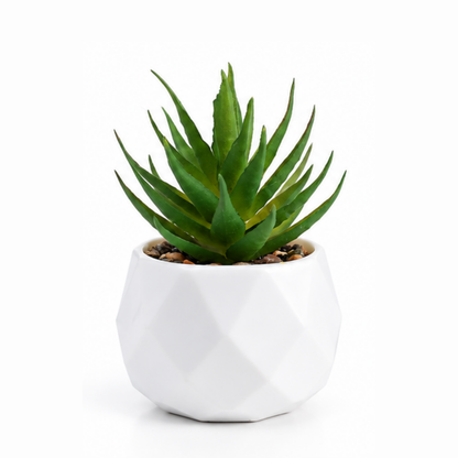 Prism Plant