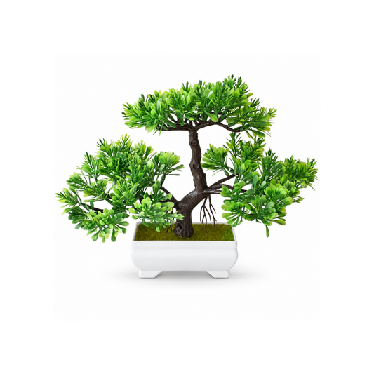 Colored Bonsai