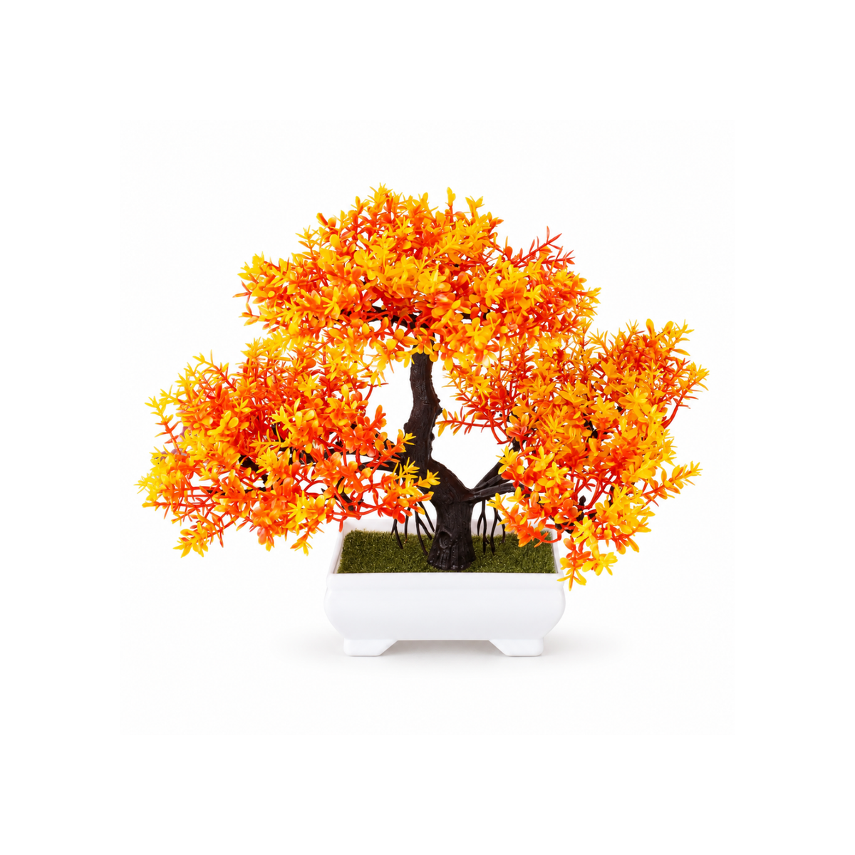 Colored Bonsai