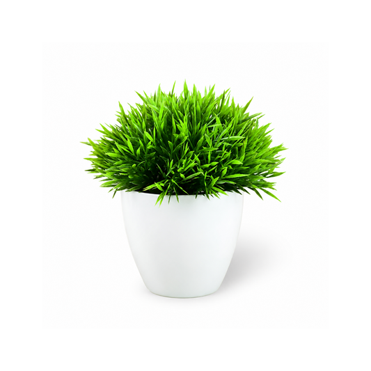 Plant pot