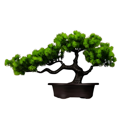 BonsaÏ | Tanhai Pine & Wolong Pine