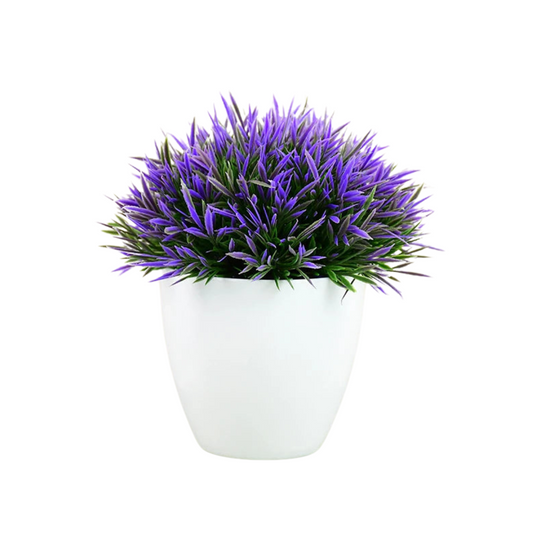 Plant pot