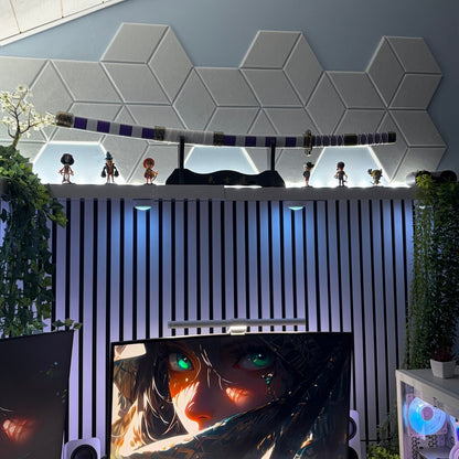 Hexagon Panels x12