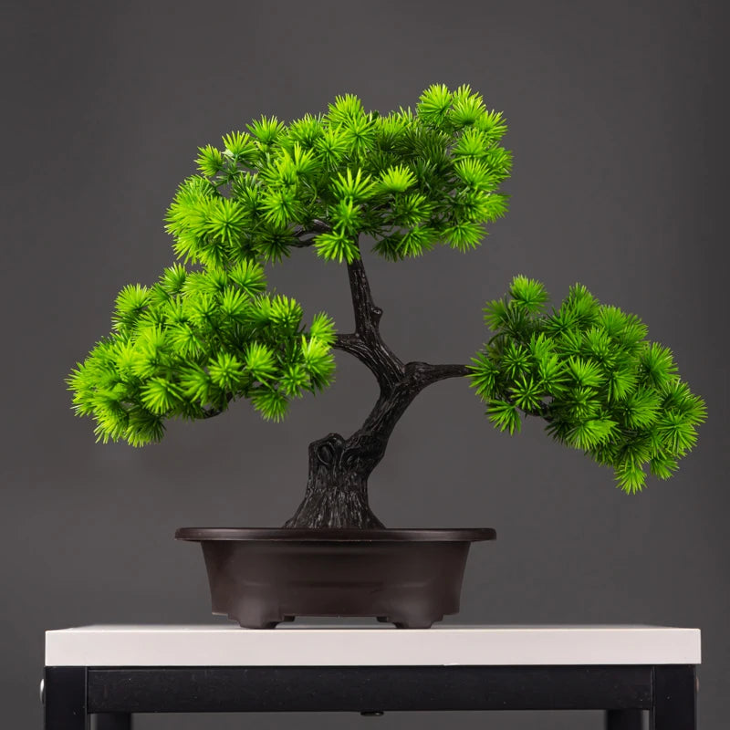 BonsaÏ | Tanhai Pine & Wolong Pine