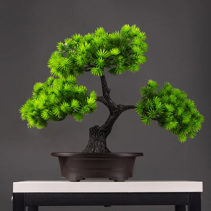 BonsaÏ | Tanhai Pine & Wolong Pine